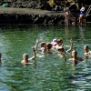 Warm Pools Hawaii